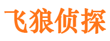 新民市侦探调查公司